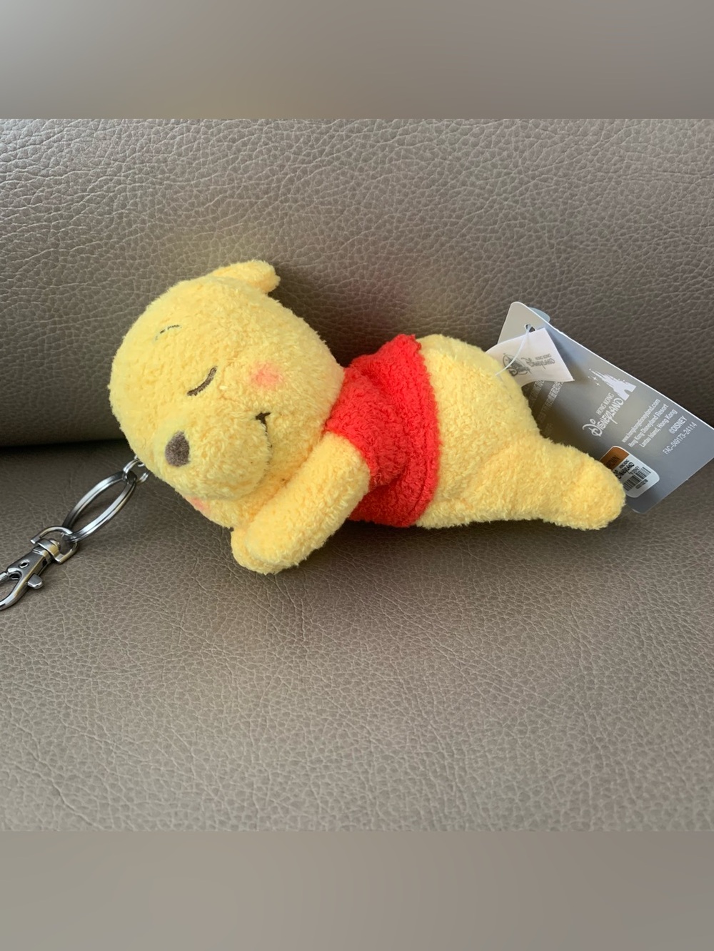 BNWT Disney Hong Kong Disneyland Sleeping Series Winnie the Pooh Plush Keychain